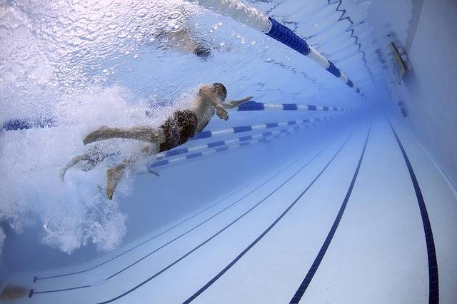 Free photo: Swimmers, Swimming, Race - Free Image on Pixabay - 79592 (14530)