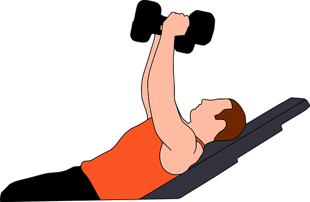 Free vector graphic: Gymnastics, Gym, Heavy, Gymnasium - Free Image on Pixabay - 2774336 (17099)