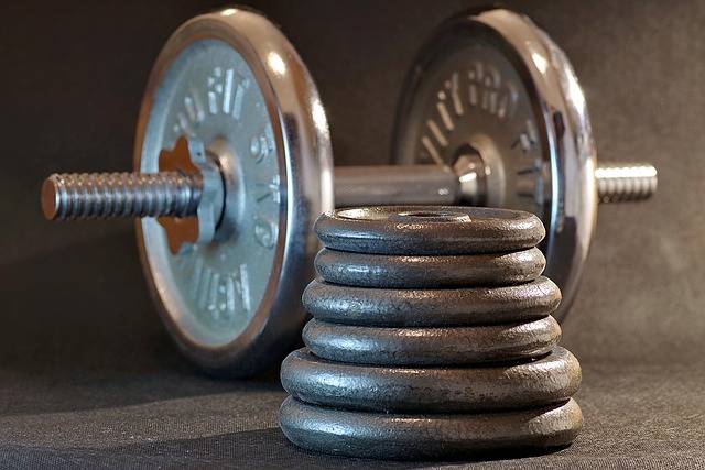 Free photo: Sport, Gym, Fitness, Bodybuilding - Free Image on Pixabay - 2726735 (18102)