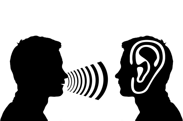 Free illustration: Ear, Auricle, Listen, Listen To - Free Image on Pixabay - 2973126 (19068)
