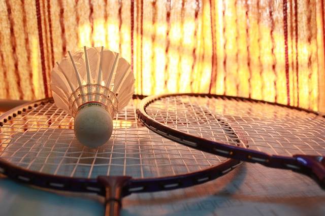 Free photo: Badminton, Shuttlecock, Games - Free Image on Pixabay - 166415 (19938)