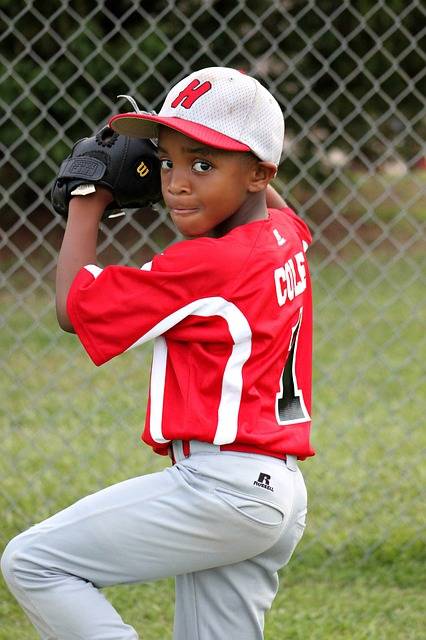 Free photo: Boy, Player, Baseball, Pitcher - Free Image on Pixabay - 432680 (23536)