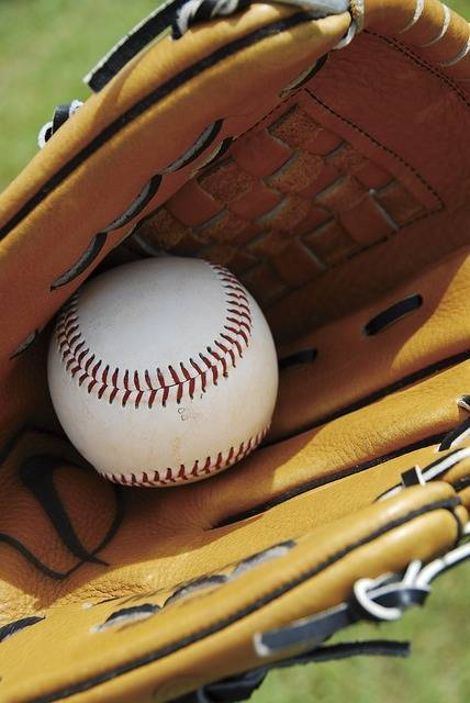 Free photo: Baseball, Glove, Sport, Equipment - Free Image on Pixabay - 956719 (23538)