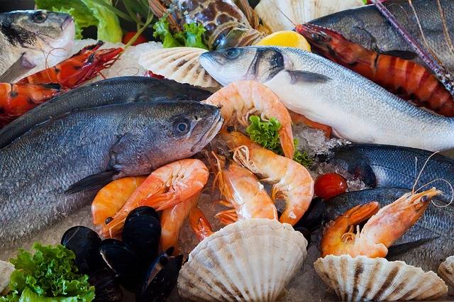 Seafood Food Healthy · Free photo on Pixabay (54454)