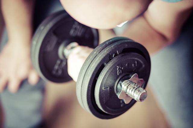Training Weightlifting Gym - Free photo on Pixabay (72501)