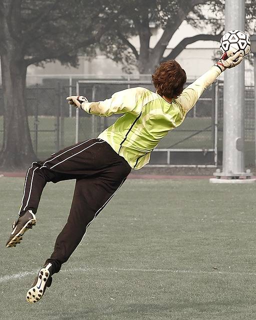 Soccer Football Player Goal - Free photo on Pixabay (76211)