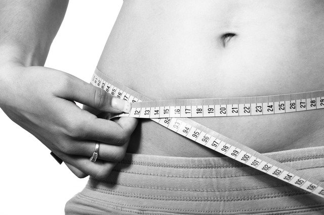 Belly Body Calories - Free photo on Pixabay (86849)