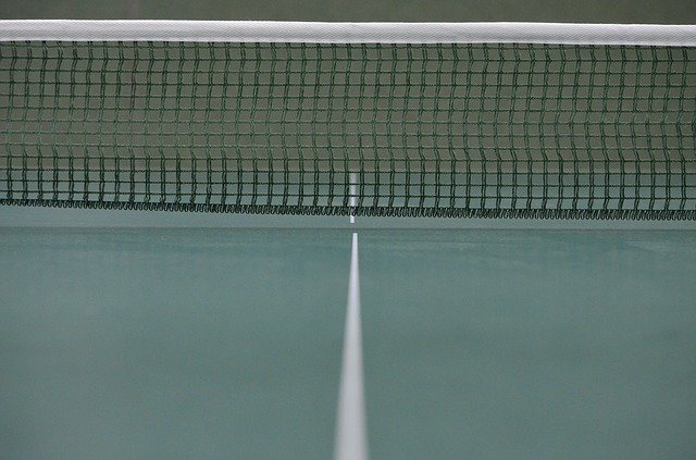 Table Tennis Ping-Pong Web - Free photo on Pixabay (96645)