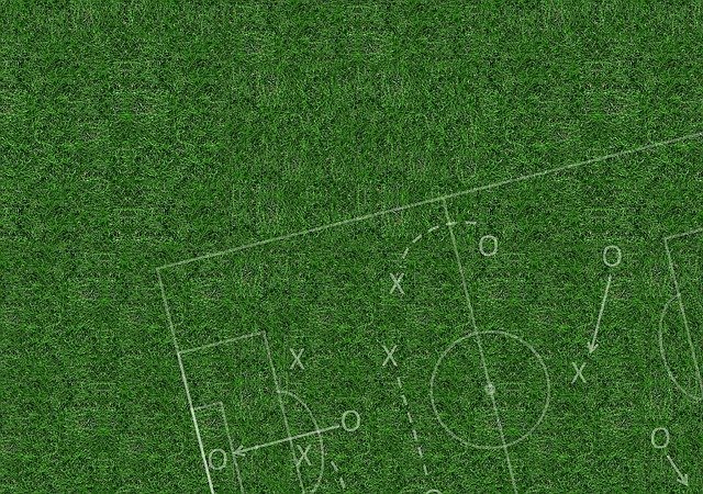 Rush Football Grass - Free image on Pixabay (96837)