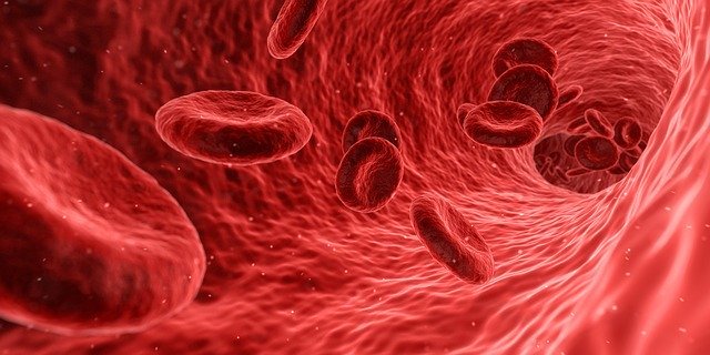 Blood Cells Red - Free image on Pixabay (103251)
